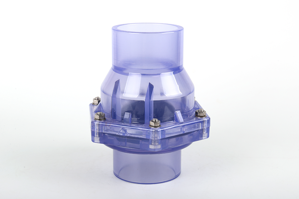 肃北透明翻板式止回阀